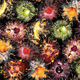 Illustration for article titled Watch—and Smell!—the Worlds First Multi-sensory Fireworks Display